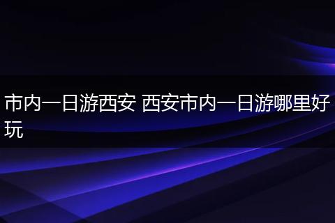市内一日游西安 西安市内一日游哪里好玩