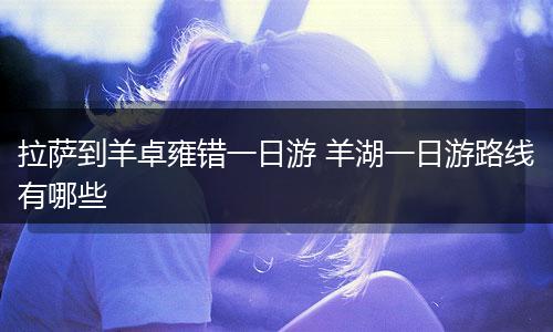 拉萨到羊卓雍错一日游 羊湖一日游路线有哪些