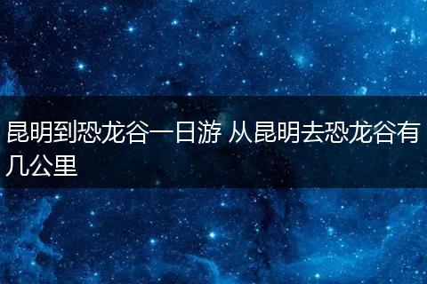 昆明到恐龙谷一日游 从昆明去恐龙谷有几公里