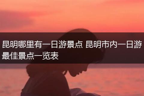 昆明哪里有一日游景点 昆明市内一日游最佳景点一览表