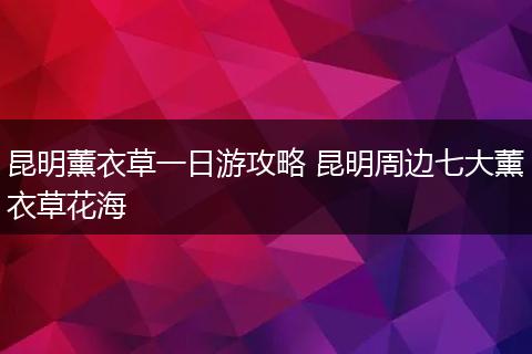 昆明薰衣草一日游攻略 昆明周边七大薰衣草花海