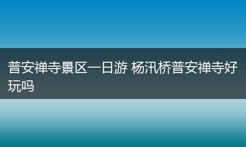 普安禅寺景区一日游 杨汛桥普安禅寺好玩吗