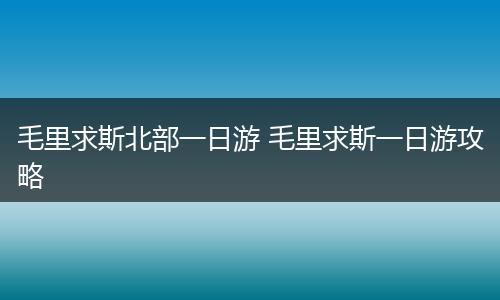 毛里求斯北部一日游 毛里求斯一日游攻略