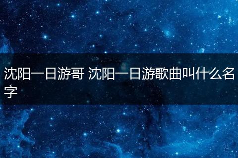 沈阳一日游哥 沈阳一日游歌曲叫什么名字