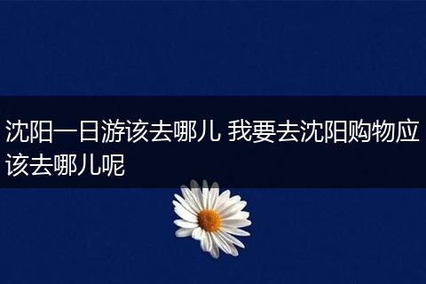沈阳一日游该去哪儿 我要去沈阳购物应该去哪儿呢