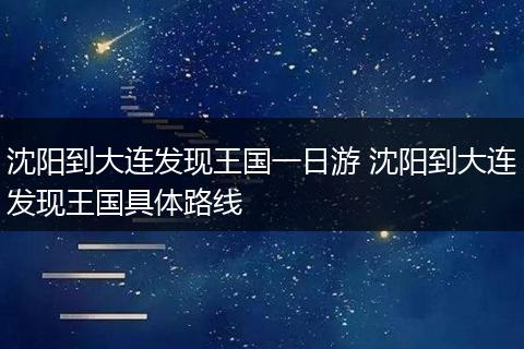 沈阳到大连发现王国一日游 沈阳到大连发现王国具体路线