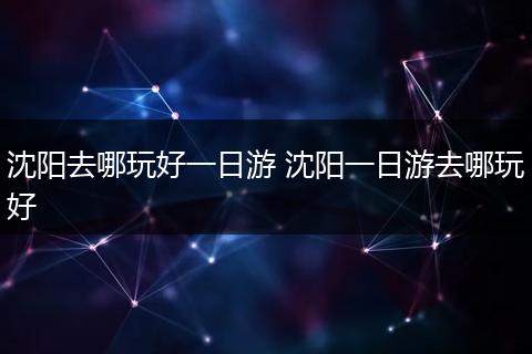 沈阳去哪玩好一日游 沈阳一日游去哪玩好