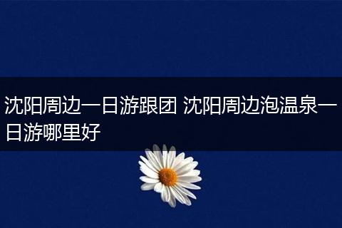 沈阳周边一日游跟团 沈阳周边泡温泉一日游哪里好