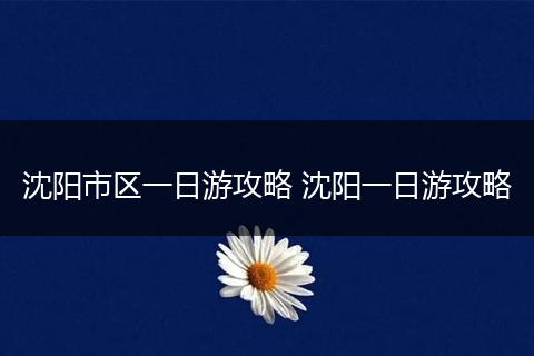 沈阳市区一日游攻略 沈阳一日游攻略