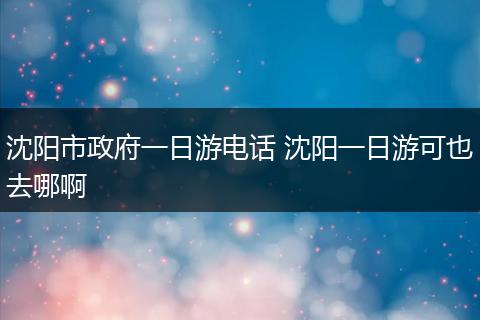 沈阳市政府一日游电话 沈阳一日游可也去哪啊