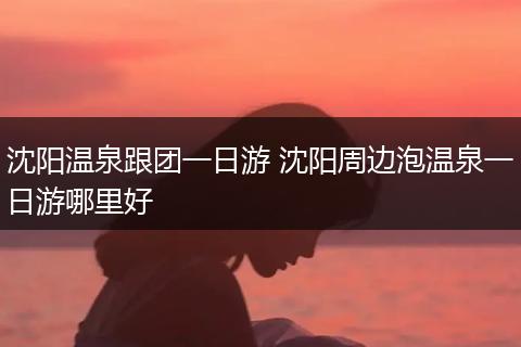 沈阳温泉跟团一日游 沈阳周边泡温泉一日游哪里好