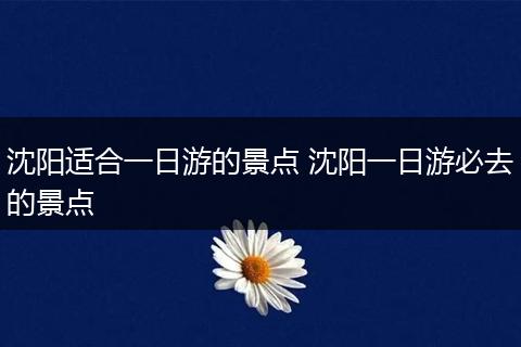沈阳适合一日游的景点 沈阳一日游必去的景点