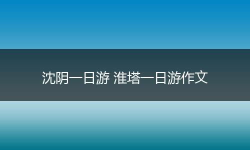 沈阴一日游 淮塔一日游作文