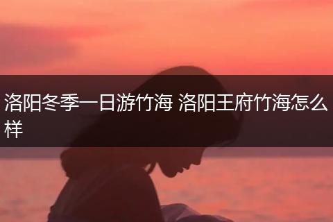 洛阳冬季一日游竹海 洛阳王府竹海怎么样