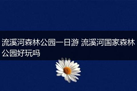 流溪河森林公园一日游 流溪河国家森林公园好玩吗
