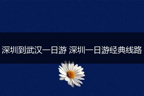 深圳到武汉一日游 深圳一日游经典线路