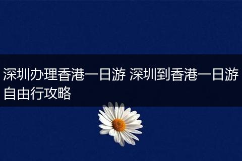 深圳办理香港一日游 深圳到香港一日游自由行攻略