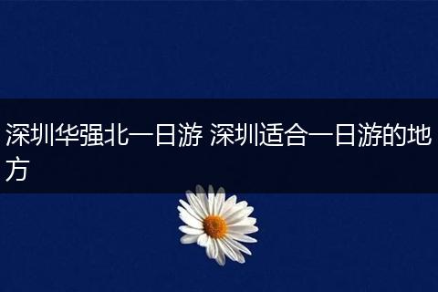 深圳华强北一日游 深圳适合一日游的地方
