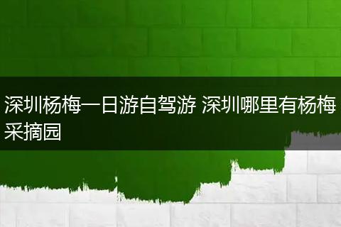 深圳杨梅一日游自驾游 深圳哪里有杨梅采摘园