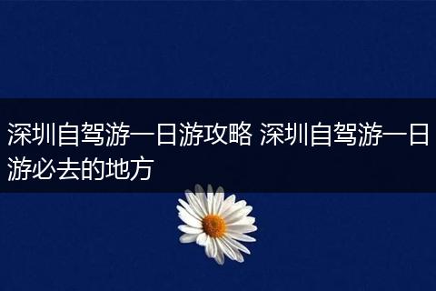 深圳自驾游一日游攻略 深圳自驾游一日游必去的地方