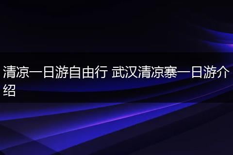 清凉一日游自由行 武汉清凉寨一日游介绍