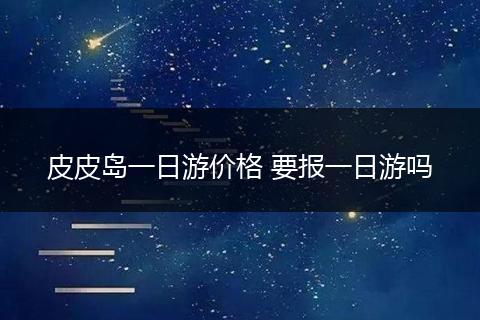 皮皮岛一日游价格 要报一日游吗