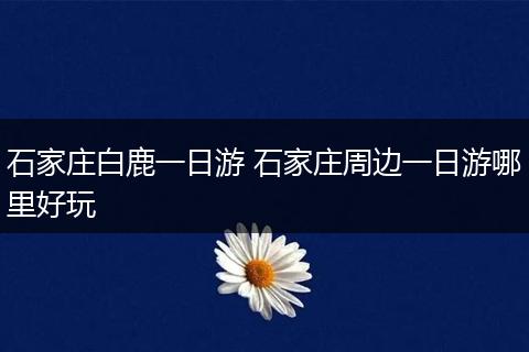 石家庄白鹿一日游 石家庄周边一日游哪里好玩