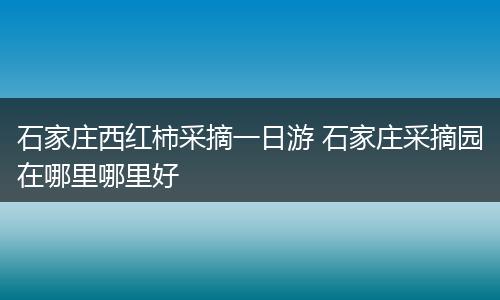 石家庄西红柿采摘一日游 石家庄采摘园在哪里哪里好