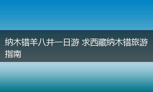 纳木错羊八井一日游 求西藏纳木错旅游指南