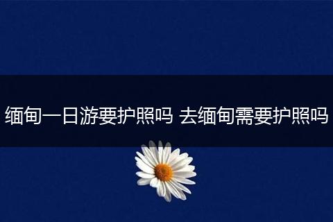 缅甸一日游要护照吗 去缅甸需要护照吗