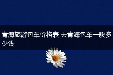 青海旅游包车价格表 去青海包车一般多少钱