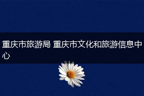 重庆市旅游局 重庆市文化和旅游信息中心