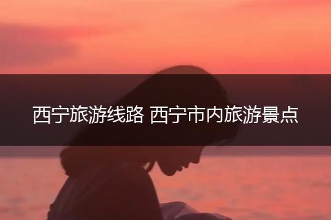 西宁旅游线路 西宁市内旅游景点