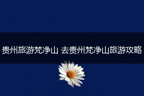 贵州旅游梵净山 去贵州梵净山旅游攻略
