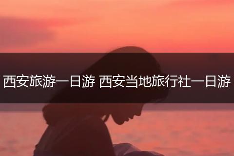 西安旅游一日游 西安当地旅行社一日游