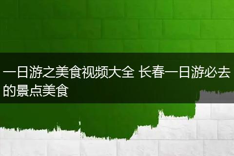 一日游之美食视频大全 长春一日游必去的景点美食