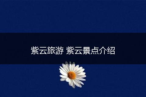 紫云旅游 紫云景点介绍