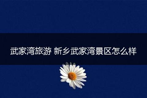 武家湾旅游 新乡武家湾景区怎么样