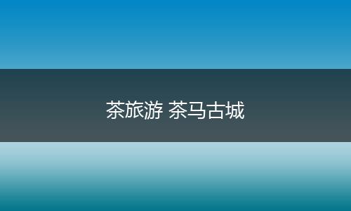 茶旅游 茶马古城