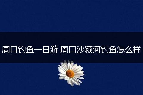 周口钓鱼一日游 周口沙颍河钓鱼怎么样