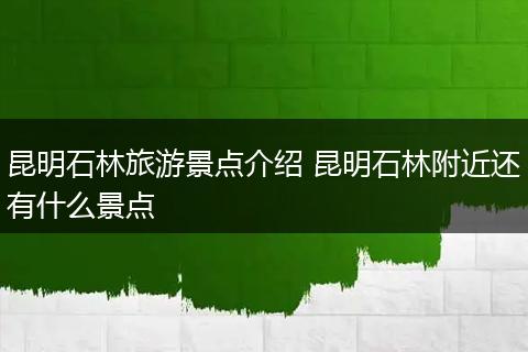 昆明石林旅游景点介绍 昆明石林附近还有什么景点