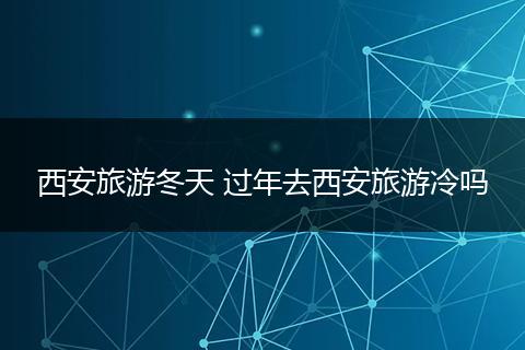 西安旅游冬天 过年去西安旅游冷吗