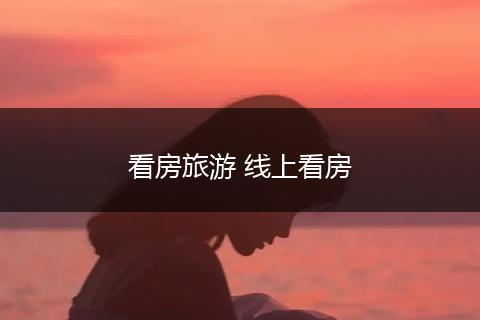 看房旅游 线上看房