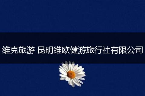 维克旅游 昆明维欧健游旅行社有限公司