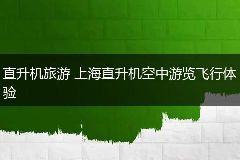 直升机旅游 上海直升机空中游览飞行体验