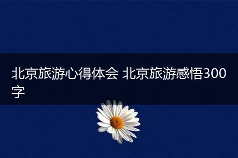 北京旅游心得体会 北京旅游感悟300字