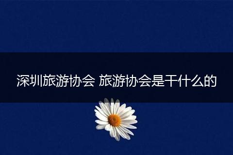 深圳旅游协会 旅游协会是干什么的