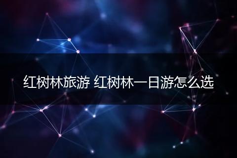 红树林旅游 红树林一日游怎么选