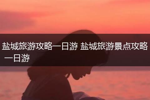 盐城旅游攻略一日游 盐城旅游景点攻略 一日游