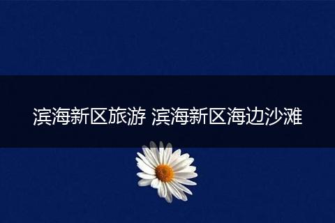 滨海新区旅游 滨海新区海边沙滩